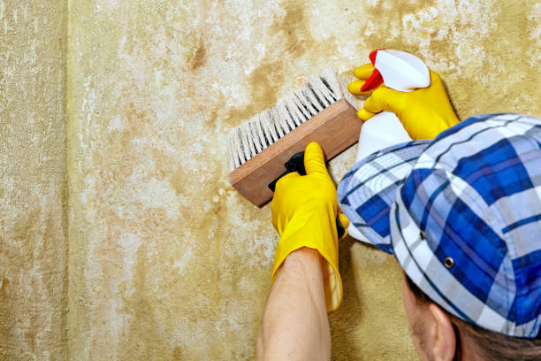 Best Air Quality Testing for Mold Spores  in Ten Mile Run, NJ