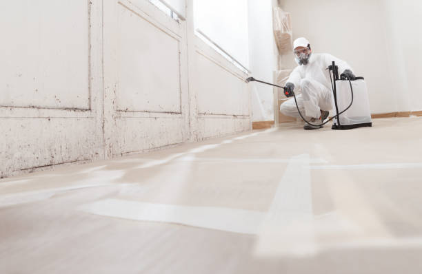 Best Mold Removal for HVAC Installations  in Ten Mile Run, NJ